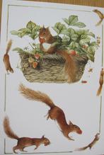 voor het kind - Marjolein Bastin - natuur - eekhoorns - 1991, Verzamelen, Ansichtkaarten | Dieren, Verzenden, 1980 tot heden, Ongelopen
