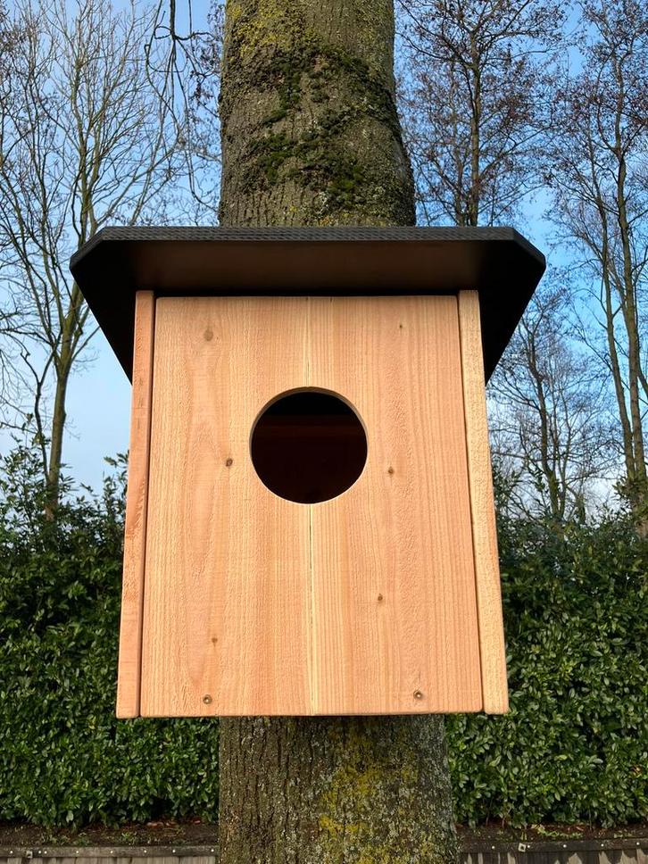 Bosuilenkast bosuilkast Steenuilenkast Steenuil kast bosuil, Tuin en Terras, Vogelhuisjes en Vogelbaden, Nieuw, Ophalen of Verzenden