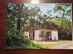 Ansichtkaart - Bungalowpark De Faasbloem Chaam (70-er jaren), Verzenden, 1960 tot 1980, Gelopen, Noord-Brabant