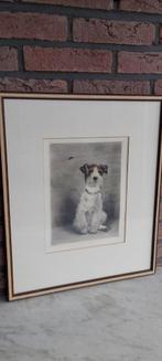 Kurt Meyer Eberhardt Hond met wesp ets, Ophalen of Verzenden