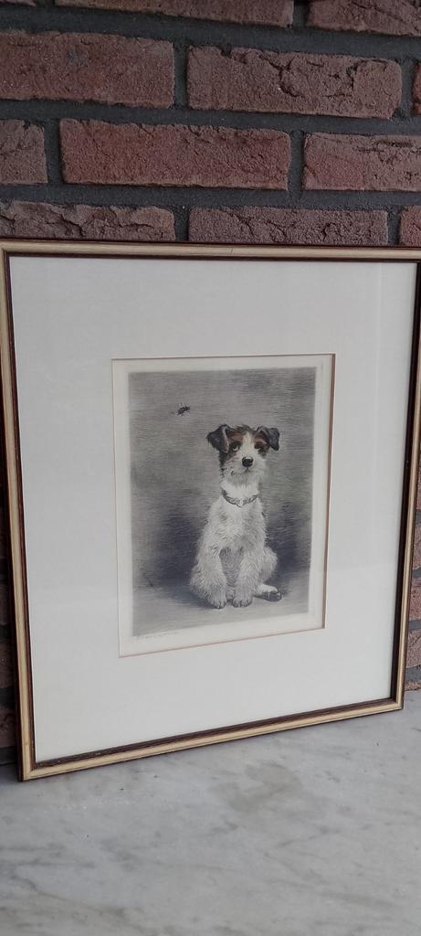 Kurt Meyer Eberhardt Hond met wesp ets, Antiek en Kunst, Kunst | Etsen en Gravures, Ophalen of Verzenden