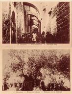 Jerusalem Olijfbomen van de Doodsangst + Smartelijke Weg, Verzenden, 1940 tot 1960, Ongelopen, Noord-Holland