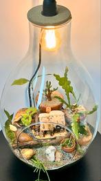 New homemade terrariumlamp by @urtehøyden_urbanfarming, Huis en Inrichting, Ophalen, Nieuw, Eco