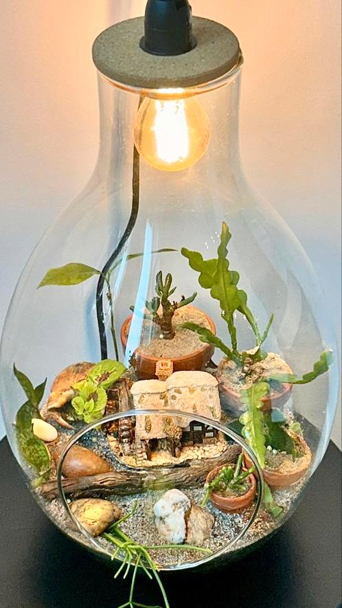 New homemade terrariumlamp by @urtehøyden_urbanfarming, Huis en Inrichting, Lampen | Overige, Nieuw, Ophalen