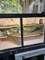 Hok kooi, Dieren en Toebehoren, Reptielen en Amfibieën | Toebehoren, Ophalen, Zo goed als nieuw