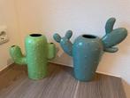 Cactus vazen, Huis en Inrichting, Woonaccessoires | Vazen, Ophalen, Overige materialen, Zo goed als nieuw, Minder dan 50 cm