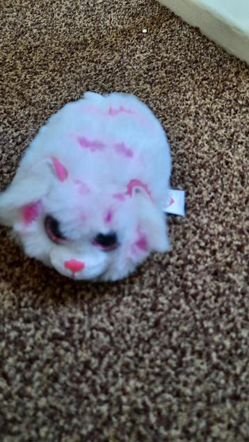 Ty Marmotje Knuffel beschikbaar voor biedingen
