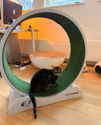 Cat treadmill, katten loopwiel. Diameter 80cm., Dieren en Toebehoren, Ophalen, Gebruikt, Overig speelgoed