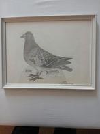 Tekening van postduif in  nieuwe lijst leest het verhaal, Ophalen of Verzenden