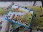 Vogels in de natuur (1000 stukjes), Hobby en Vrije tijd, Denksport en Puzzels, Ophalen of Verzenden, 500 t/m 1500 stukjes, Zo goed als nieuw