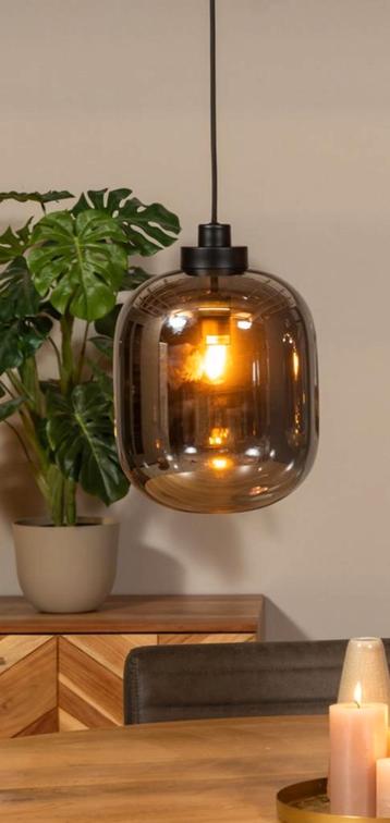 TE KOOP: Pendant Lamp Smoke Glas beschikbaar voor biedingen