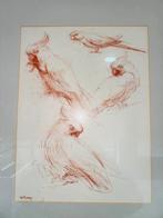 Tekening in lijst gesigneerd Wim van Bemmel vogels, Antiek en Kunst, Ophalen