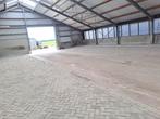 stalling, Dieren en Toebehoren, Stalling