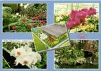 Orchideeenkwekerij Fam. Th. D Maarsen, Luttelgeest - 5 afb -, Ophalen of Verzenden, 1940 tot 1960, Ongelopen, Utrecht