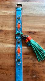Prachtig honden halsband, Ophalen of Verzenden, Nieuw