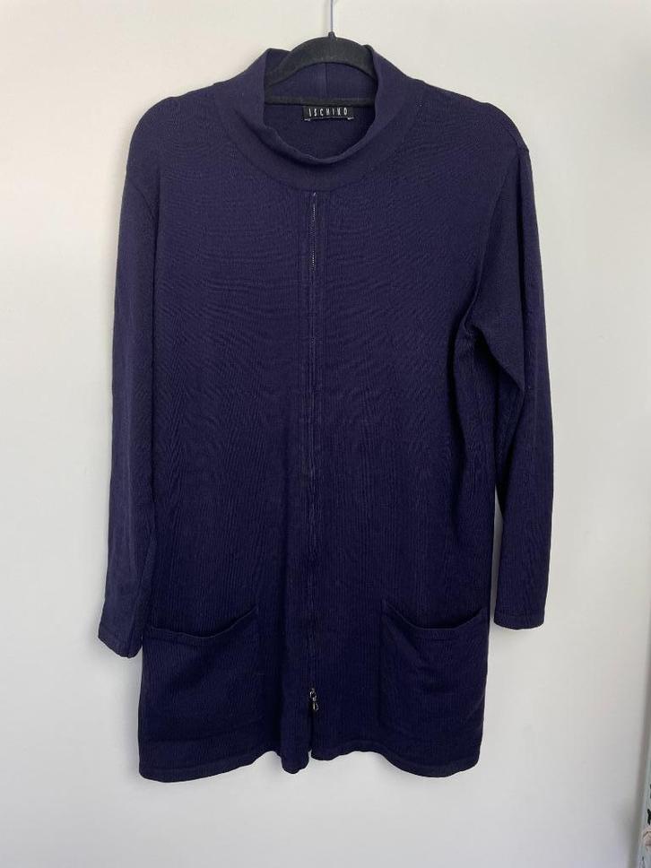 Ischiko paarse trui met rits 40 wol, Kleding | Dames, Truien en Vesten, Zo goed als nieuw, Maat 38/40 (M), Paars, Ophalen of Verzenden