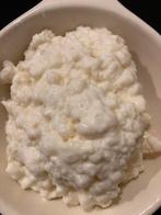 Melkkefir korrels, Ophalen of Verzenden