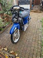 Honda sh50 scoopy, Fietsen en Brommers, Brommeronderdelen | Scooters, Ophalen, Gebruikt, Overige typen, Overige merken
