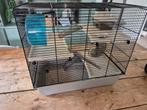 Hamsterkooi, Minder dan 60 cm, Kooi, Gebruikt, Minder dan 75 cm