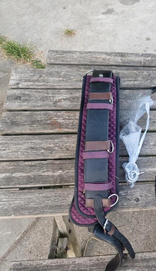 Lammert Haanstra longeersingel met longeerpad, Dieren en Toebehoren, Paarden en Pony's | Hoofdstellen en Tuigage, Zo goed als nieuw