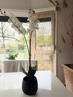 Kunstplant orchidee wit, Huis en Inrichting, Woonaccessoires | Kunstplanten en Kunstbloemen, Ophalen of Verzenden, Zo goed als nieuw