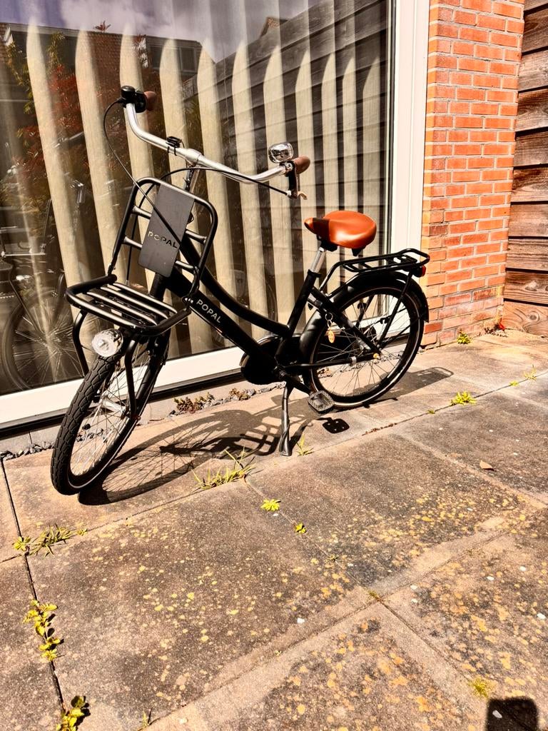 Kinderfiets/meisjesfiets popal daily dutch 22 inch zgan, Ophalen, Zo goed als nieuw, 20 inch of meer