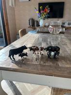 Schleich koe en stieren set, Ophalen of Verzenden, Zo goed als nieuw