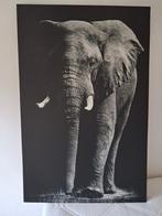 Indrukwekkend Olifant Canvas - 75x115 cm, Ophalen, Gebruikt, Print, 100 tot 125 cm