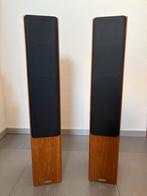 Tannoy Revolution R2 luidsprekers, Zo goed als nieuw, 60 tot 120 watt, Front, Rear of Stereo speakers, Ophalen