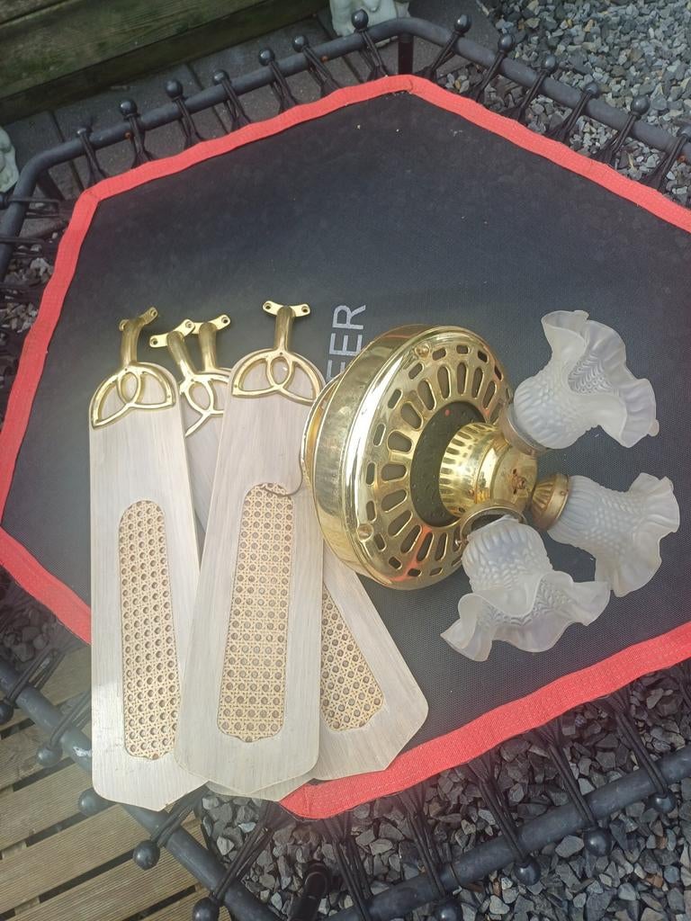 Mooie plafond ventilator, Huis en Inrichting, Lampen | Plafondlampen, Ophalen