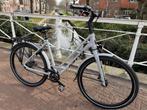 Azor Maastricht Dames 50cm Alfine 11 Carbon Drive Tourfiets, Fietsen en Brommers, Overige merken, 28 inch, 10 tot 15 versnellingen