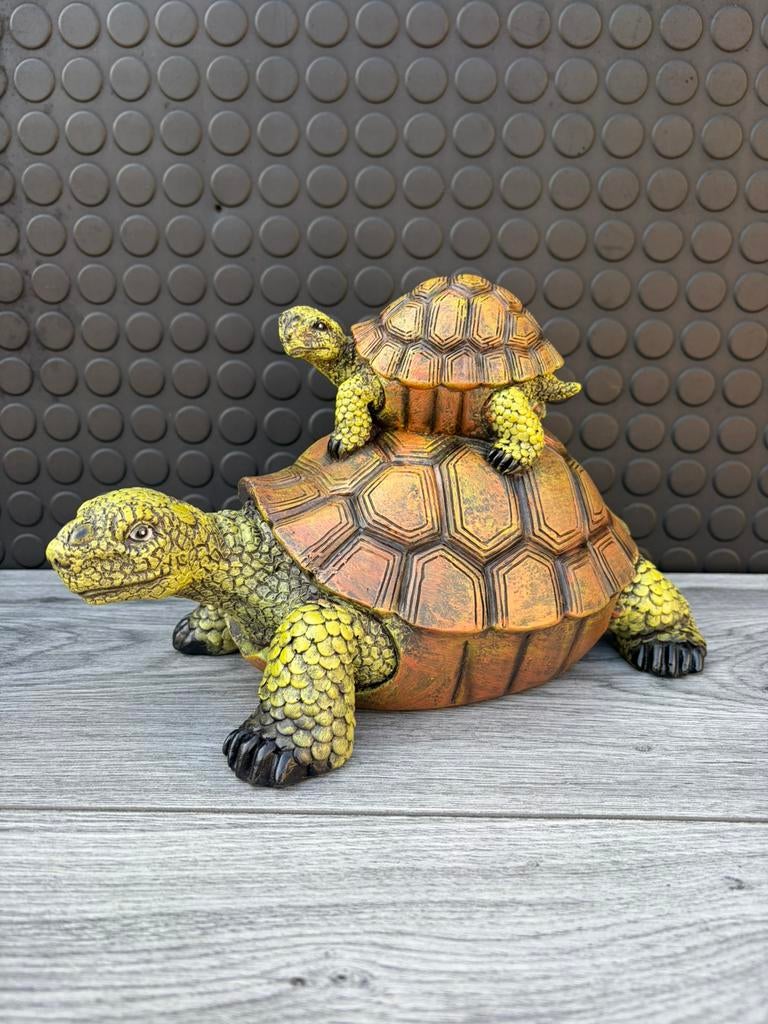 schildpad, Verzamelen, Beelden en Beeldjes, Ophalen of Verzenden, Nieuw, Dier