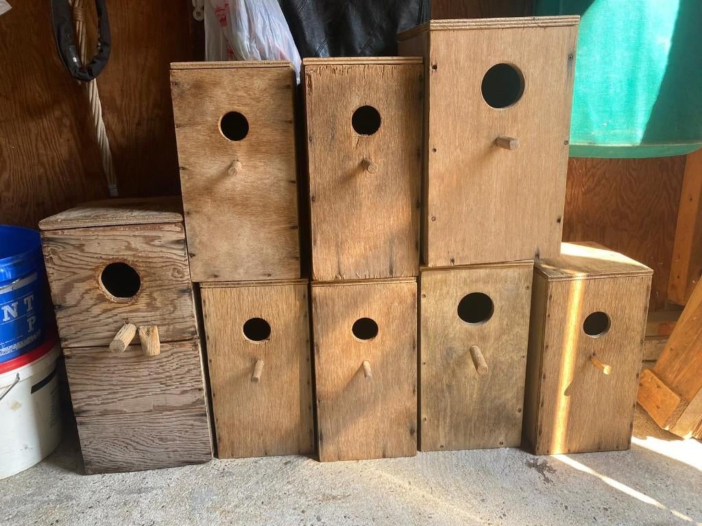 Broedblokken te koop, Ophalen, Gebruikt, Hout, Broedkooi of Kweekkooi