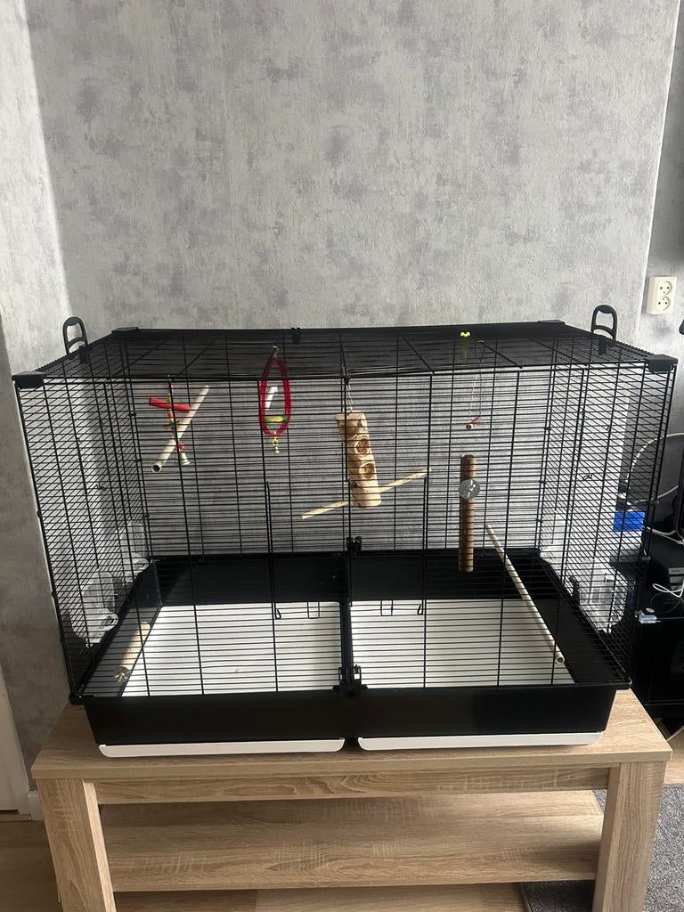 Vogel kooi, Dieren en Toebehoren, Knaagdieren en Konijnen | Hokken en Kooien, Ophalen of Verzenden, Zo goed als nieuw, Kooi, Minder dan 60 cm