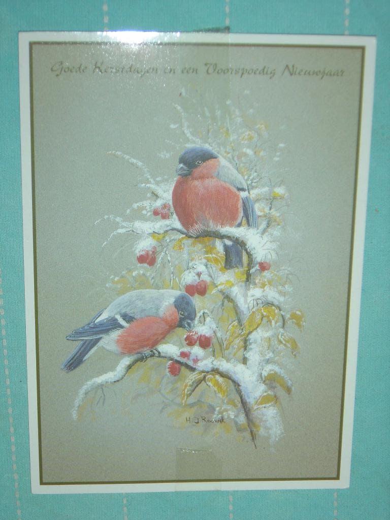 19) Kleuren ansichtkaart Kleine vogel, Ophalen of Verzenden, 1980 tot heden, Gelopen, Vogel