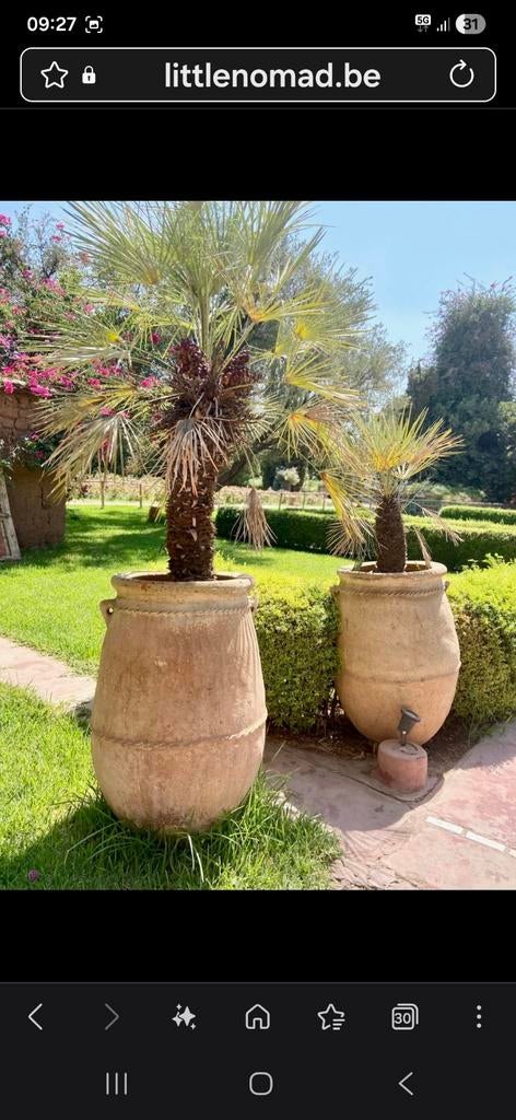 Gezocht grote buiten potten, Tuin en Terras, Bloembakken en Plantenbakken, Ophalen, Rond, Kunststof