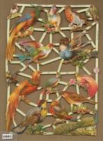 Vogels met Pauw poezieplaatjes 7246, Verzamelen, Poesieplaatjes, Ophalen of Verzenden