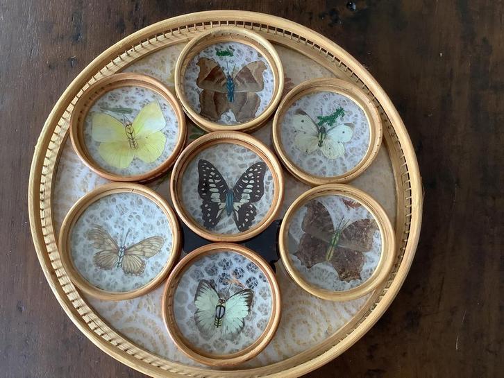 Retro bamboe dienblad + onderzetters met vlinders (jaren 70), Antiek en Kunst, Curiosa en Brocante, Ophalen of Verzenden
