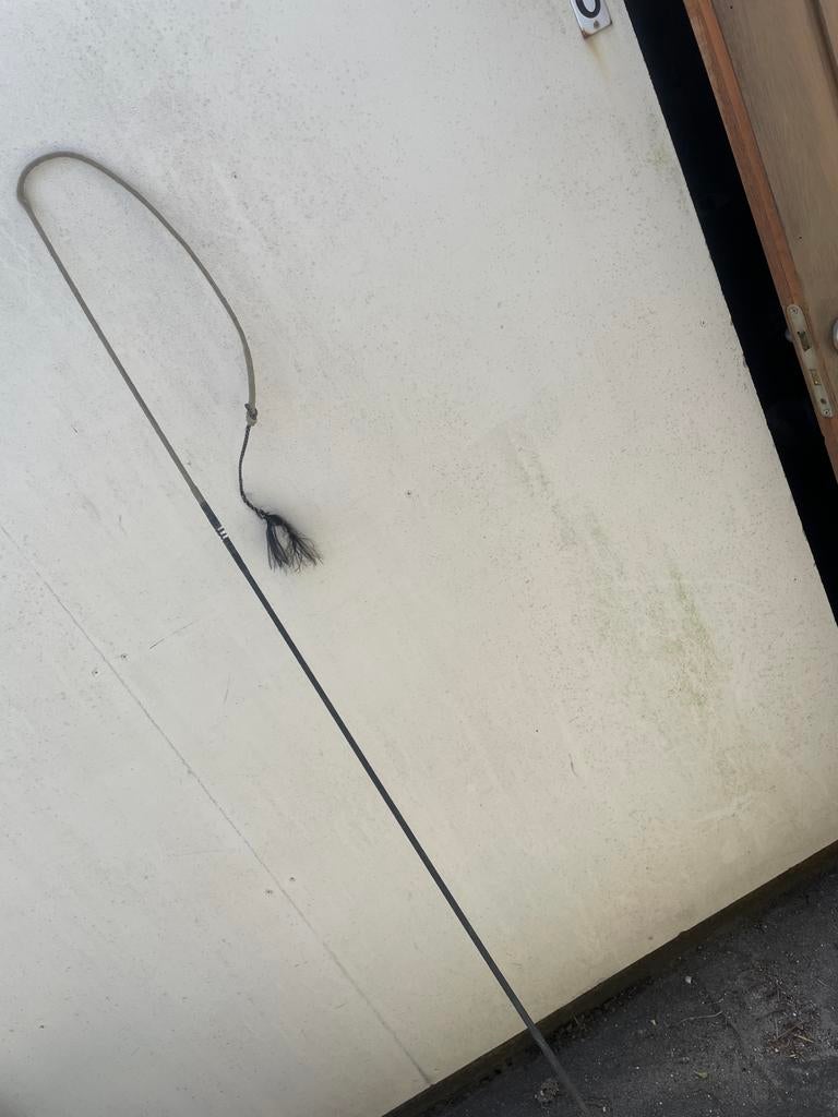 Zweep voor mennen, Ophalen of Verzenden, Gebruikt, Overige soorten