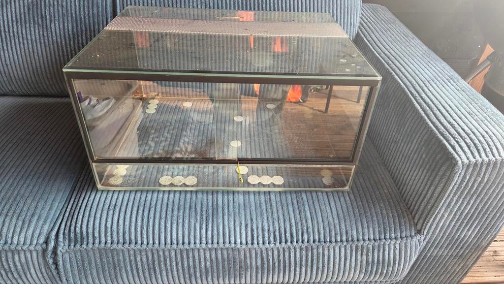 Terrarium 50x39x25 ideaal op ikeakast., Dieren en Toebehoren, Reptielen en Amfibieën | Toebehoren, Ophalen, Zo goed als nieuw