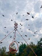 Bijenvolk gezocht, Wassenaar/Voorschoten, Dieren en Toebehoren, Februari, Meerdere dieren