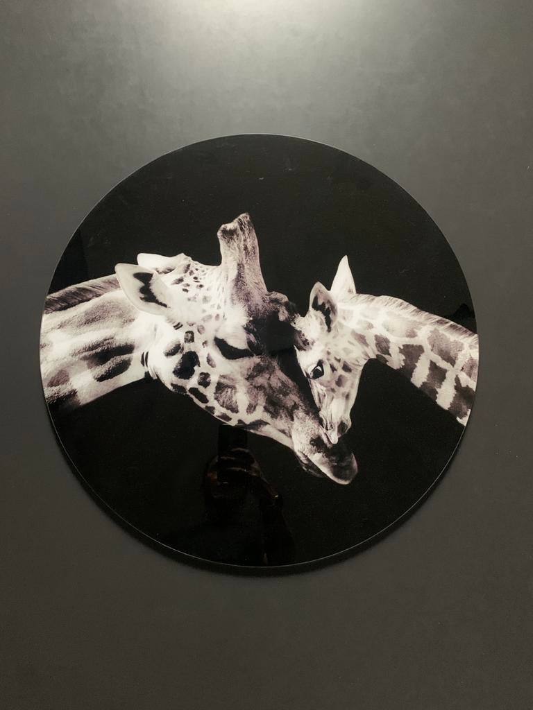 Rond glazen schilderij, Huis en Inrichting, Woonaccessoires | Schilderijen, Tekeningen en Foto's, Ophalen, 50 tot 75 cm, Overige typen