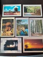 Set ansichtkaarten Hoenderloo ongelopen, Ophalen of Verzenden, 1980 tot heden, Ongelopen, Gelderland