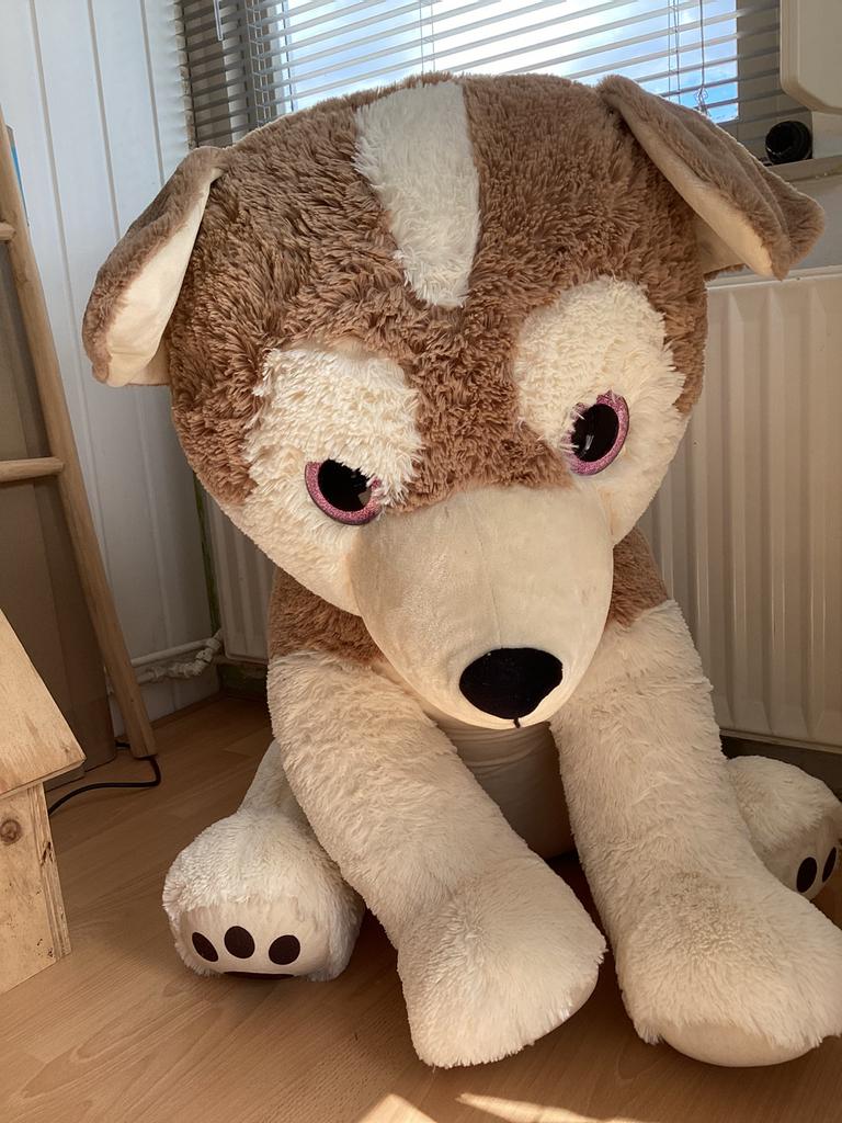 Grote knuffel hond, Ophalen, Nieuw, Hond