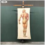 Oude vooroorlogse XXL schoolkaartenhouder van Königs, Ophalen, Overige thema's