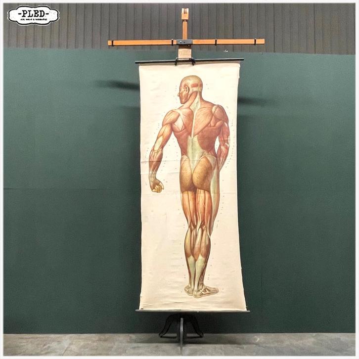 Oude vooroorlogse XXL schoolkaartenhouder van Königs, Antiek en Kunst, Antiek | Schoolplaten, Overige thema's, Ophalen