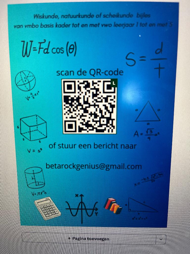 Bijles wiskunde natuurkunde scheikunde vmbo havo vwo, Privéles, Bijles