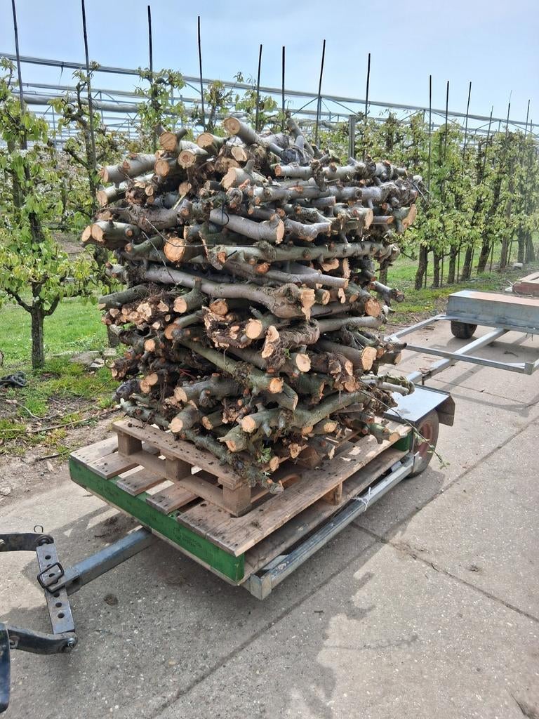 Haardhout appelhout, Tuin en Terras, Haardhout, Minder dan 3 m³, Ophalen