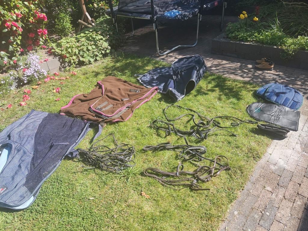 Verschillende paardenspullen voor paard, Full (L), Ophalen, Harry's Horse