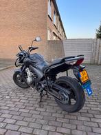 Gebruikte lesmotor - Honda CBF 600 - Nog in gebruik, 4 cilinders, Particulier, Minimaal motorrijbewijs A2, Naked bike
